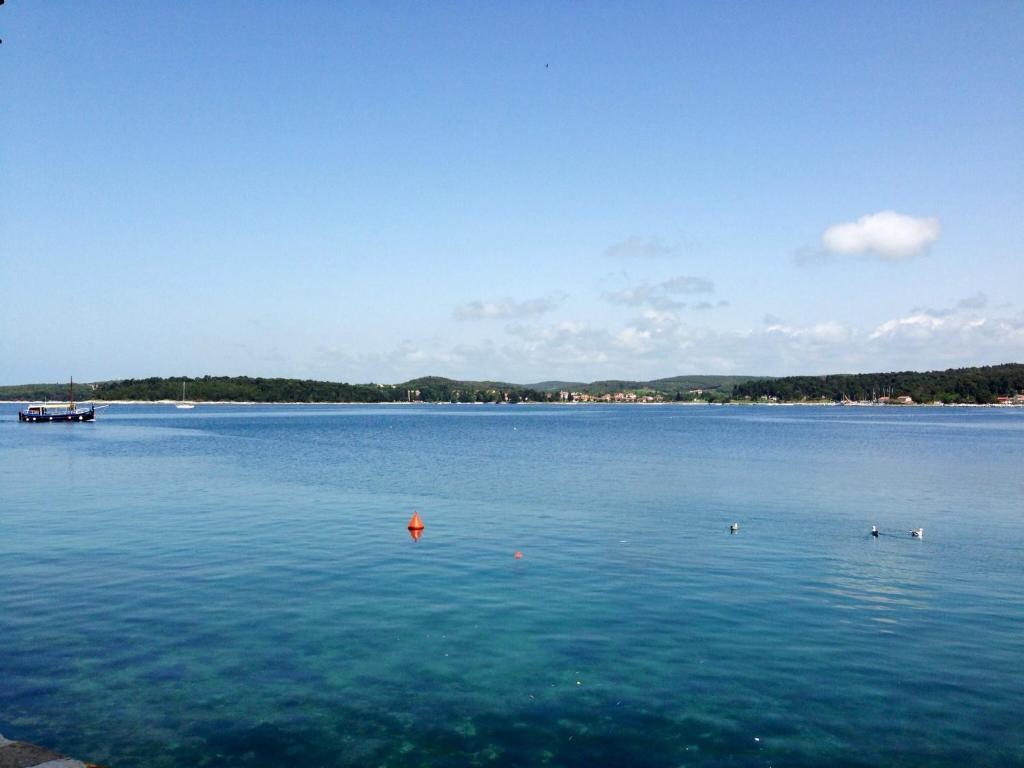 Casa Svalba Apartment Rovinj Ngoại thất bức ảnh